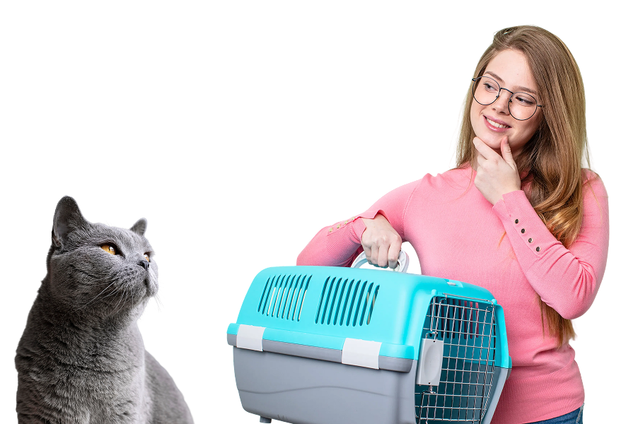 Cat with happy confident young woman