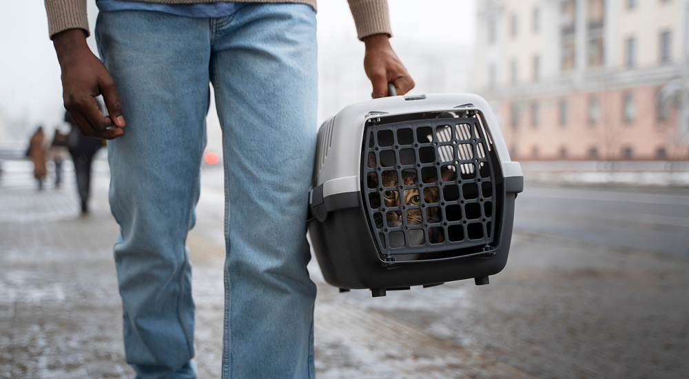 Door-to-door pickup delivery