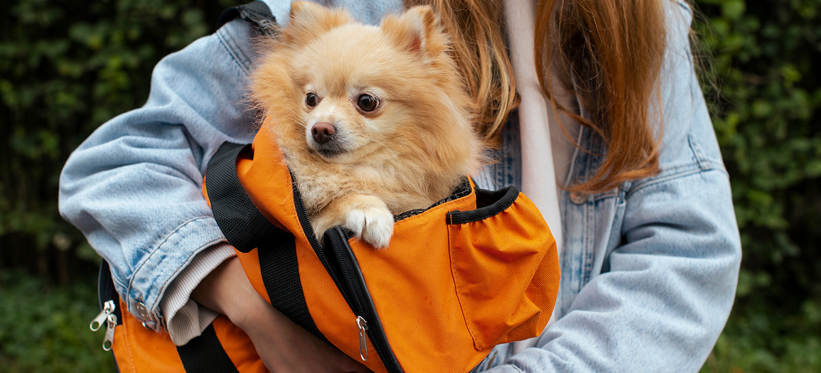 Girl carrying puppy in bag front view