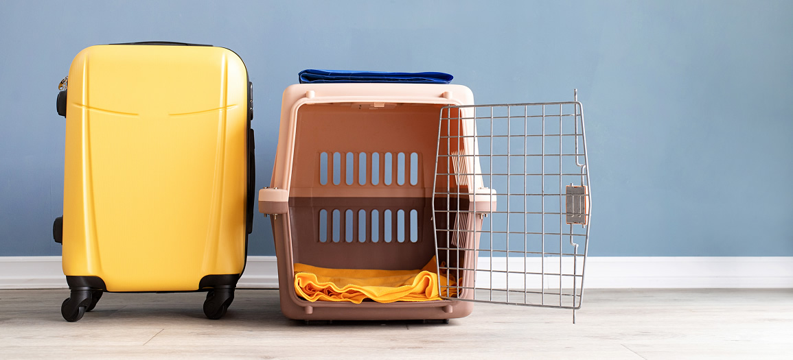 Opened plastic pet carrier or pet cage and yellow suitcase on the floor
