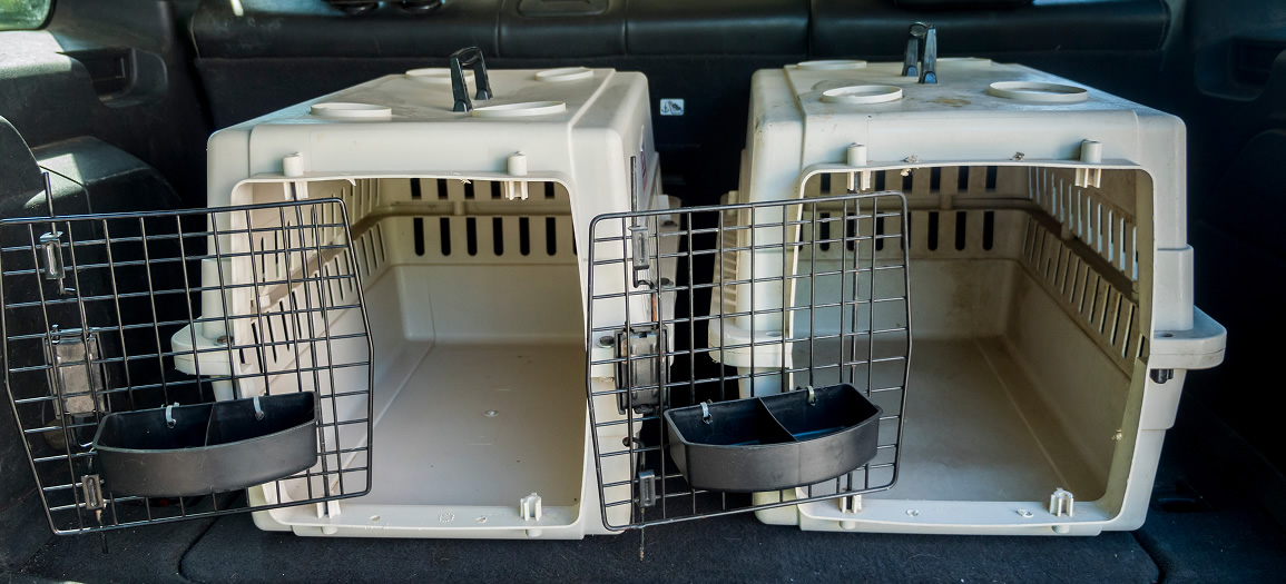 Two empty cages for the transport of animals in the trunk of a car