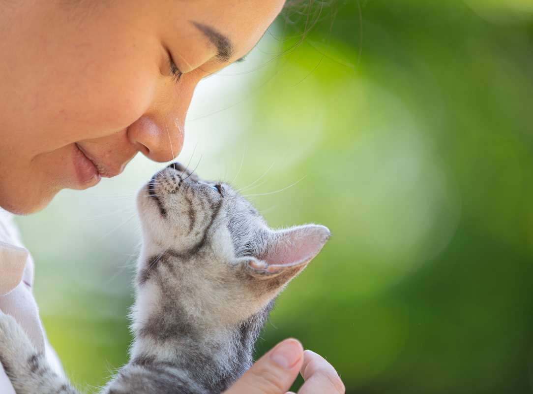 Woman hugging cat